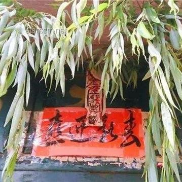 年轻人开始爱上端午挂艾了：传统习俗的新风尚